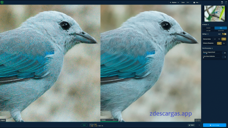 Topaz DeNoise AI 2026 Full Activado